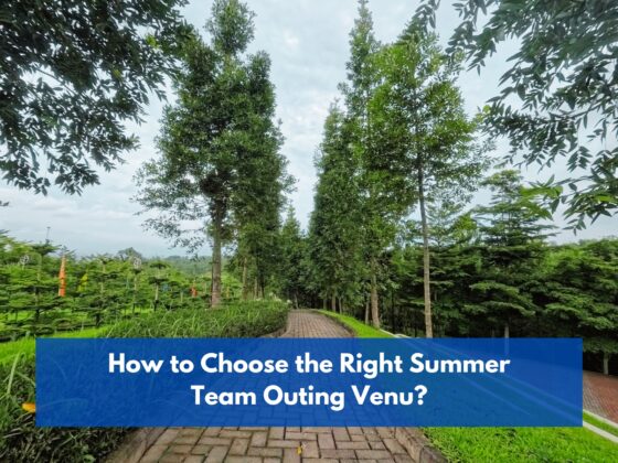 How to choose the right summer team outing venu?