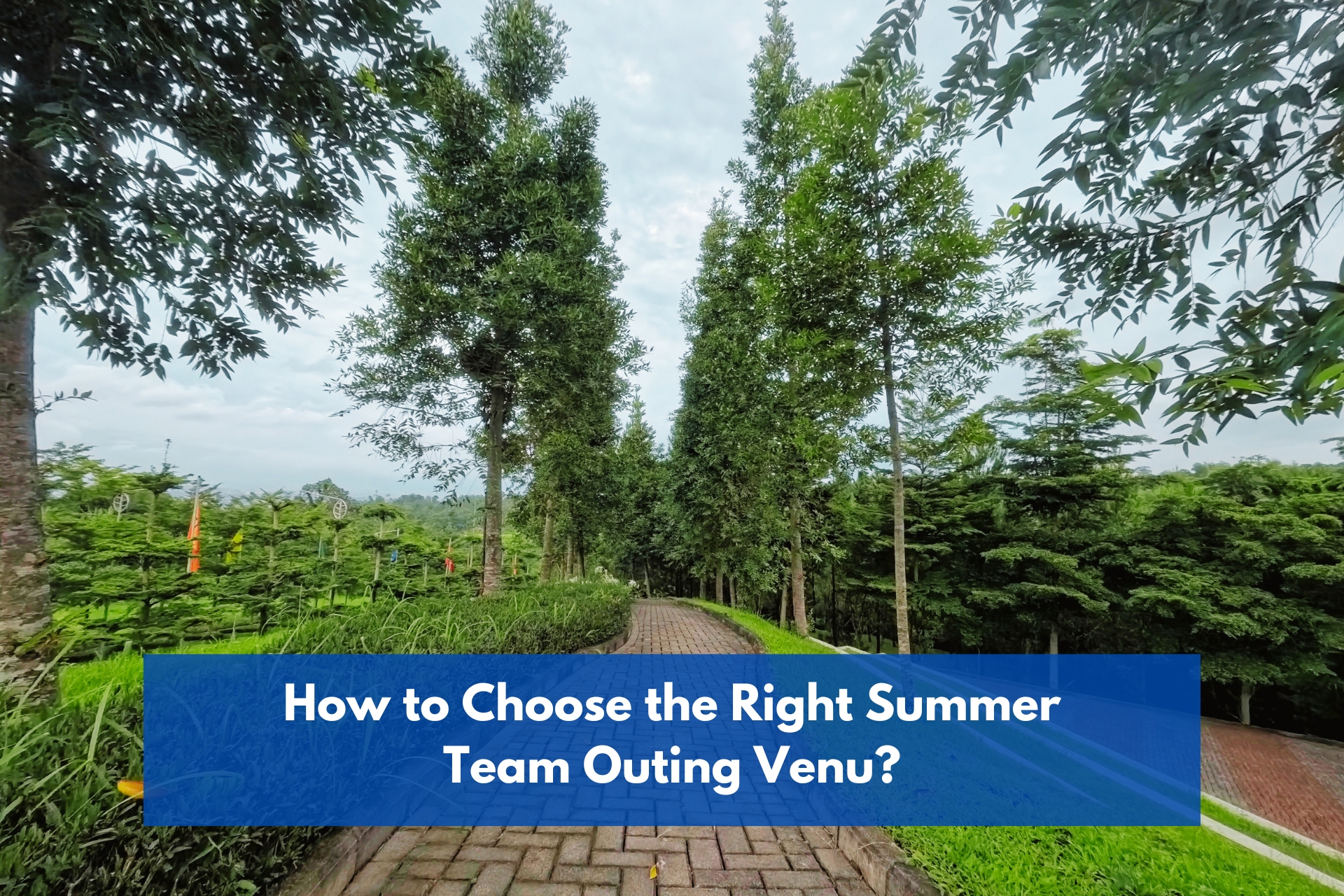 How to choose the right summer team outing venu