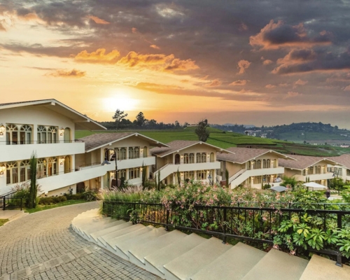 Mango hill shola ooty