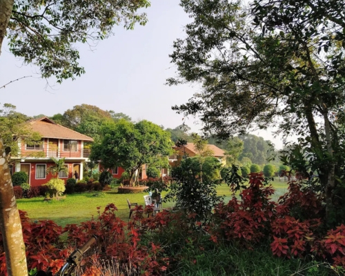 Streamedge nature resort
