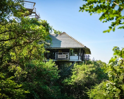 The machan - a treehouse resort, lonavala